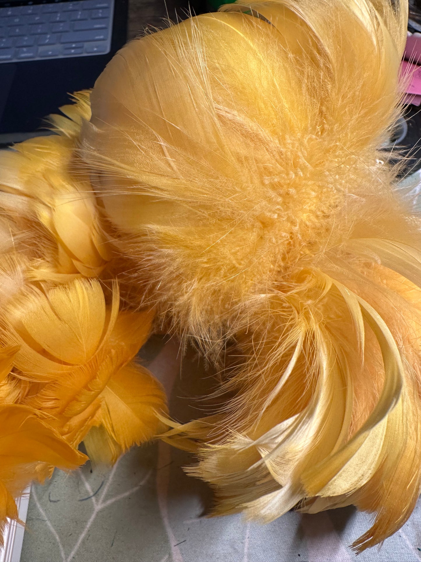 Custom-dyed Yellow & Orange Goose Coquille Feathers