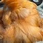 Custom-dyed Yellow & Orange Goose Coquille Feathers