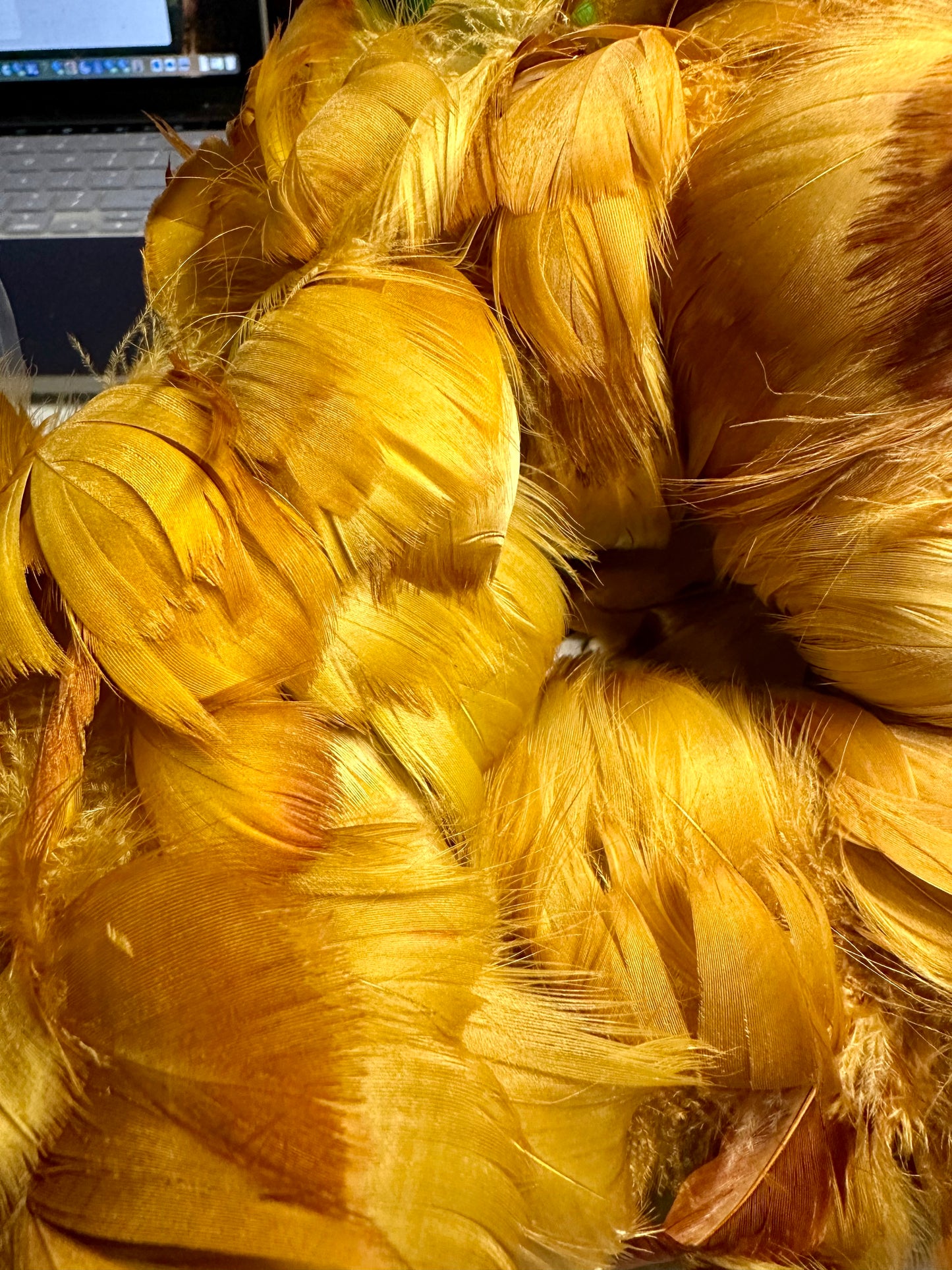 Custom-dyed Yellow & Orange Goose Coquille Feathers