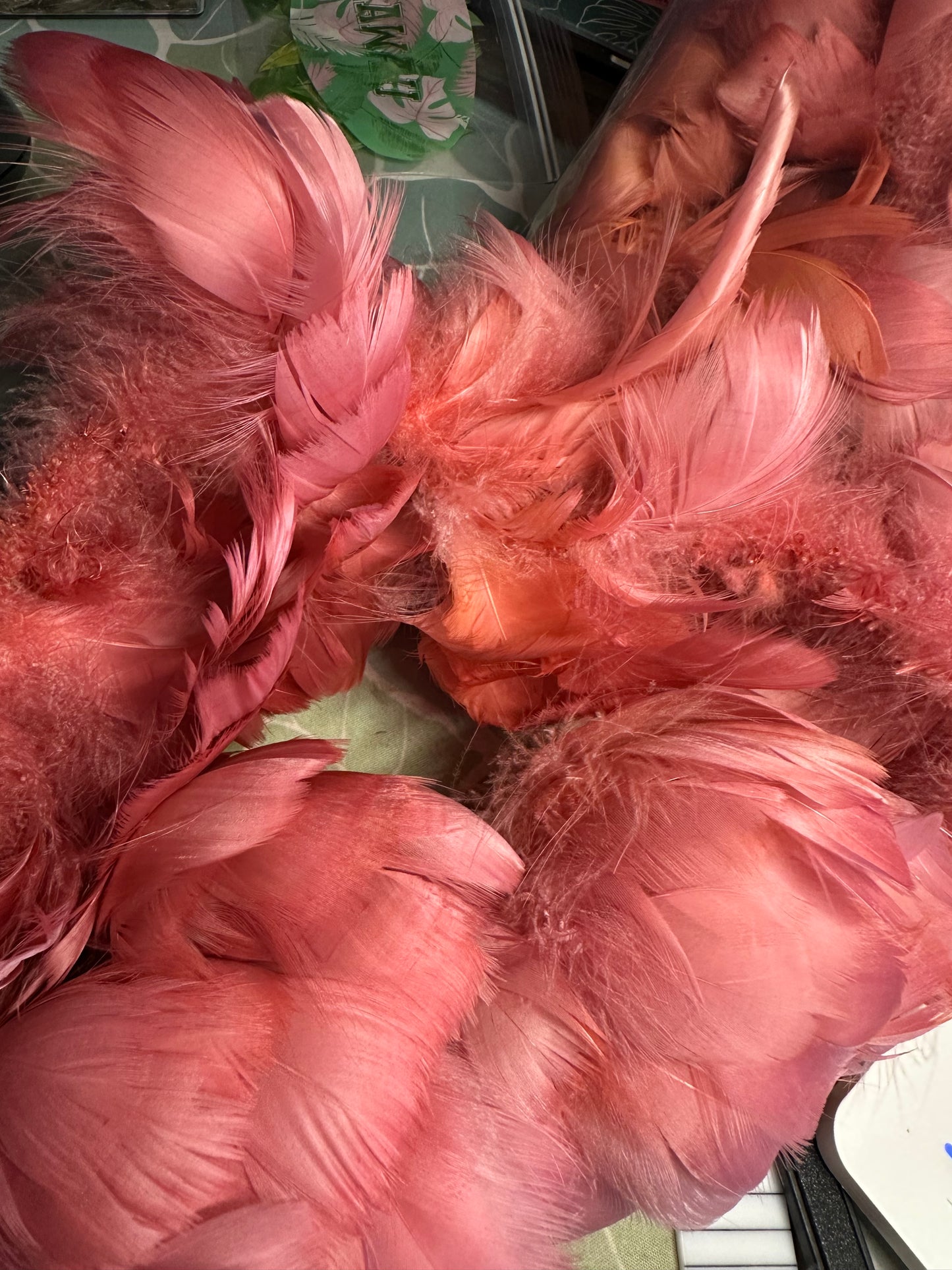 Custom-dyed Plums & Pink goose coquille feathers