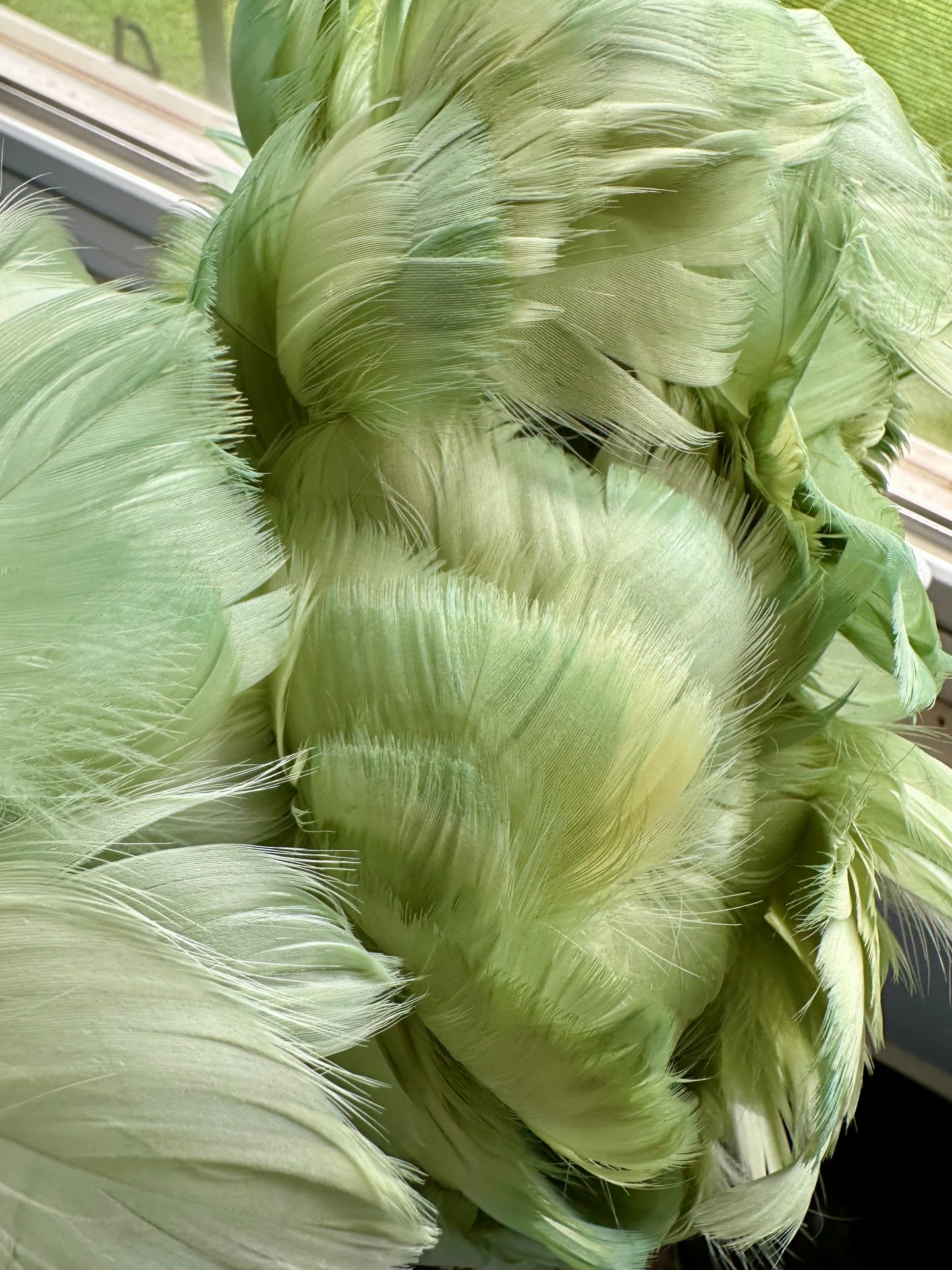 Custom-dyed Green Goose Coquille Feathers