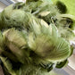 Custom-dyed Green Goose Coquille Feathers