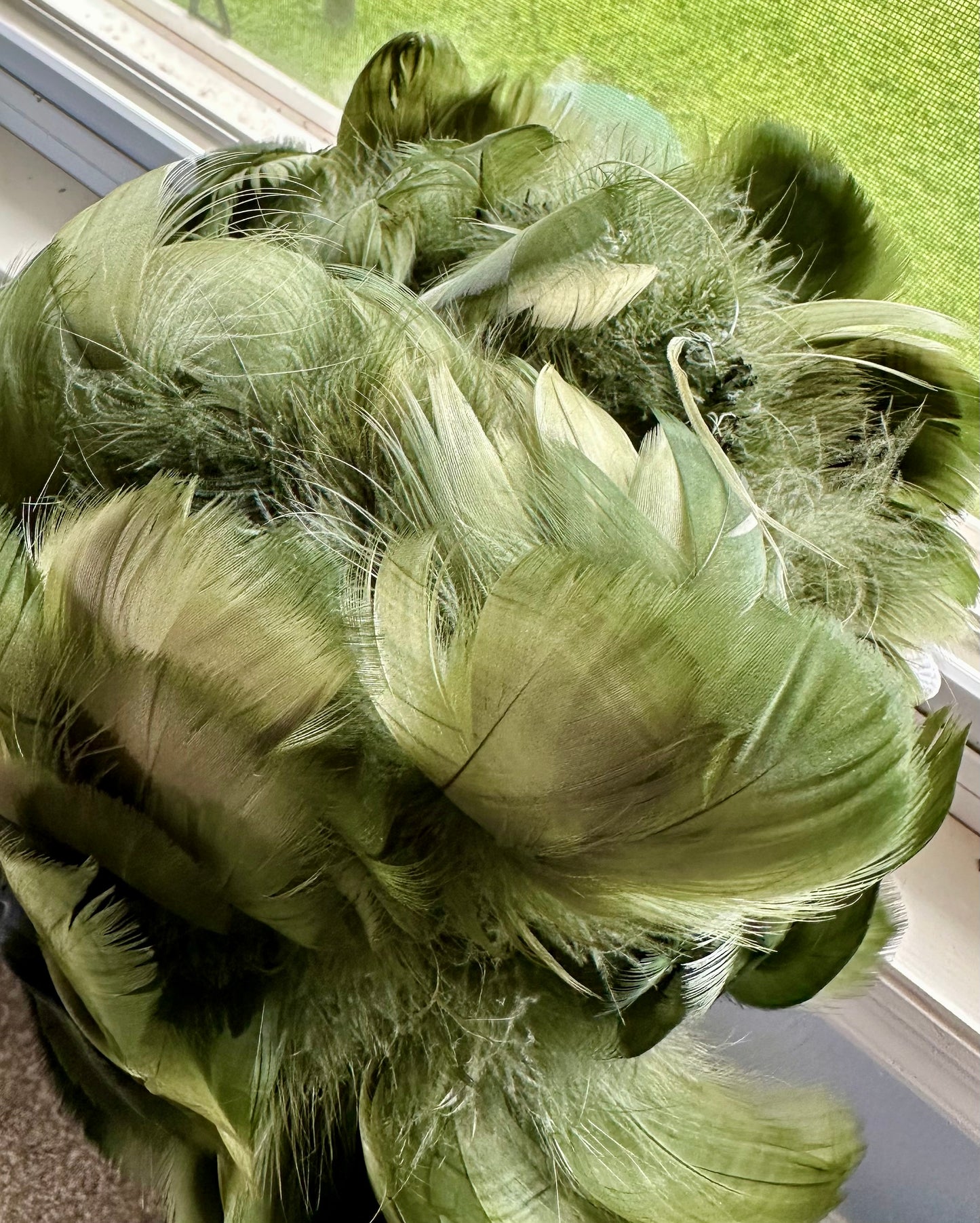 Custom-dyed Green Goose Coquille Feathers