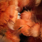 Custom-dyed Yellow & Orange Goose Coquille Feathers
