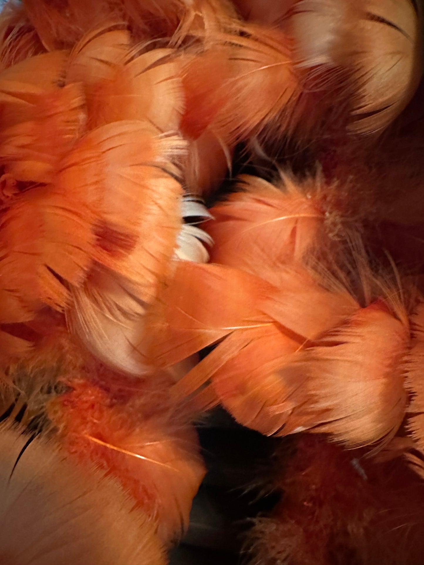 Custom-dyed Yellow & Orange Goose Coquille Feathers