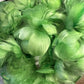 Custom-dyed Green Goose Coquille Feathers