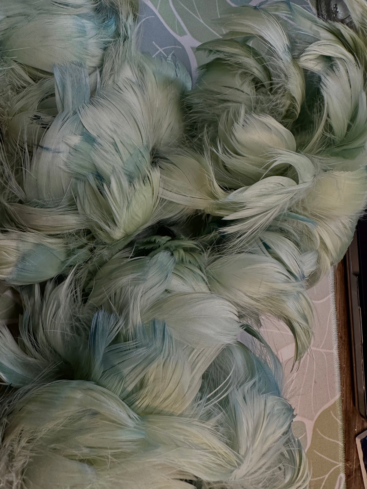 Custom-dyed Green Goose Coquille Feathers