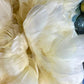 Custom-dyed Brown & Gray Goose Coquille Feathers