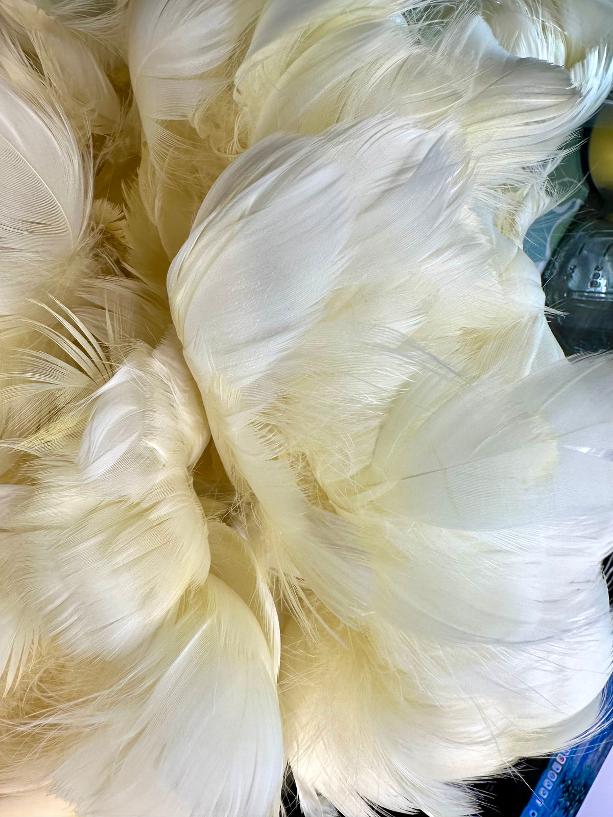 Custom-dyed Brown & Gray Goose Coquille Feathers