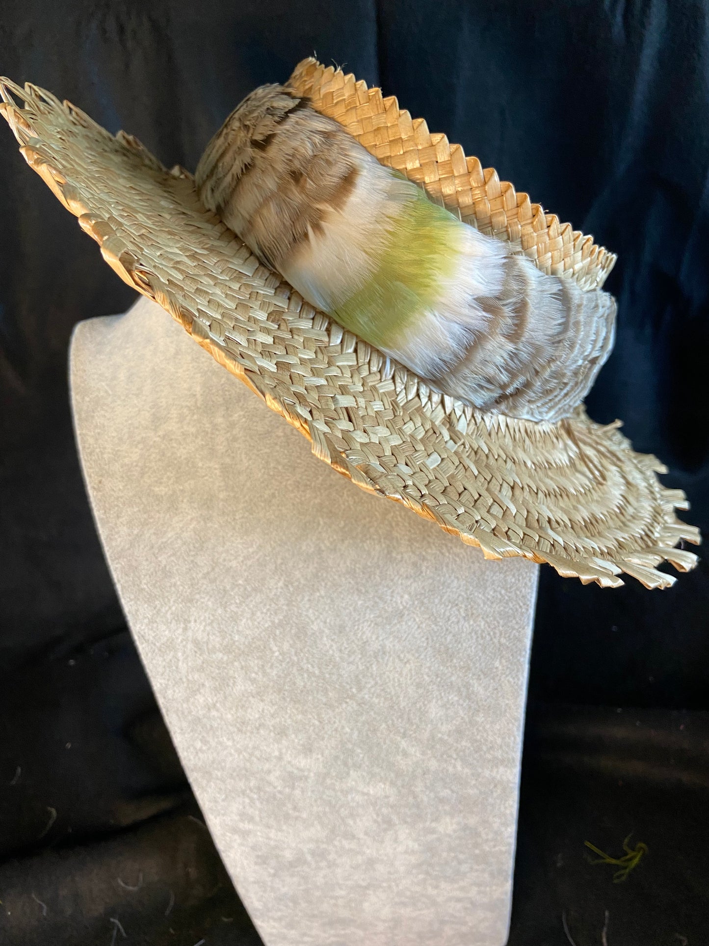 Canadian Goose and Sage Humu Papale (feather hat band)