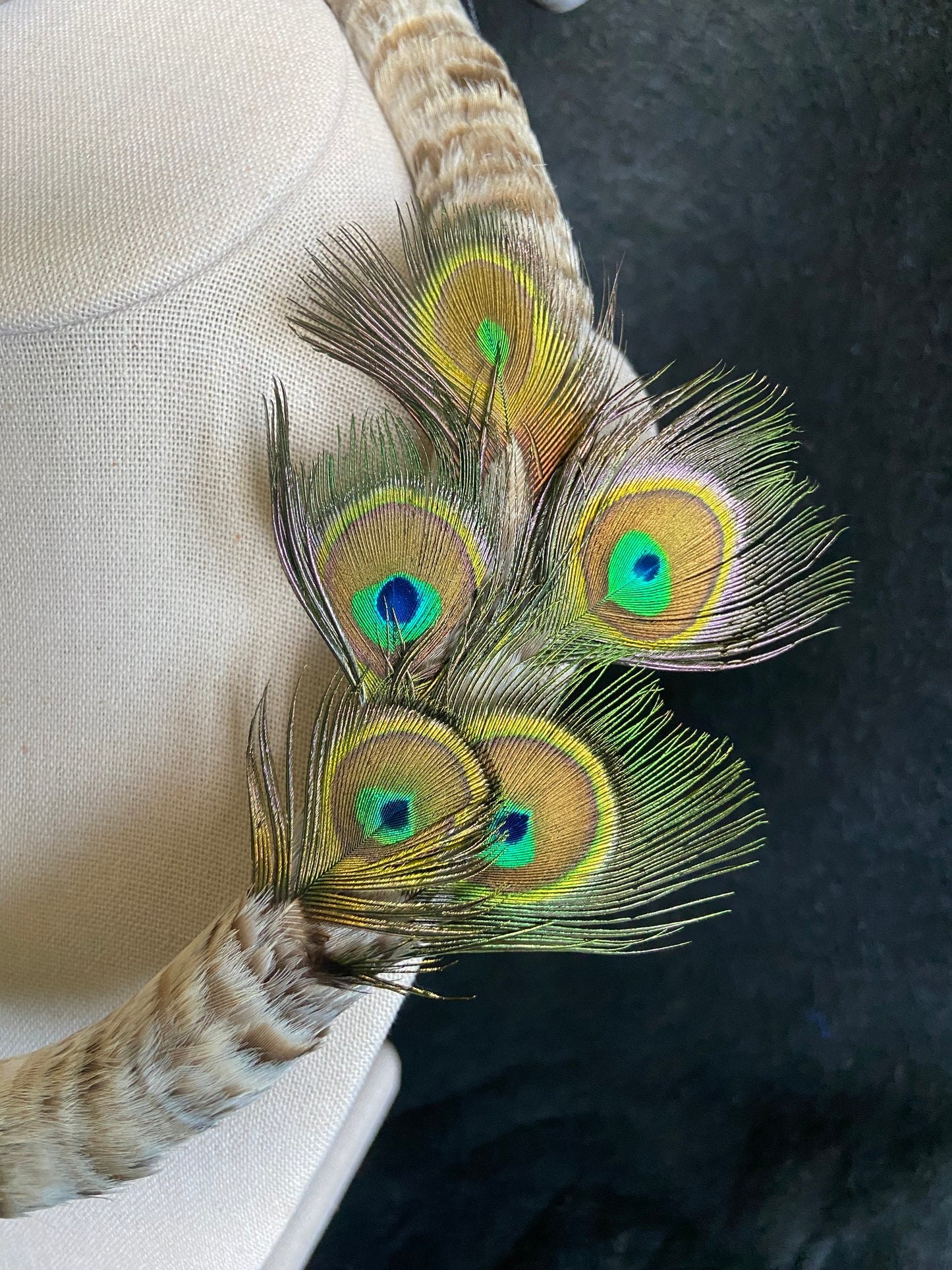Canadian Goose and Peacock eye lei hulu (feather lei) kamoe