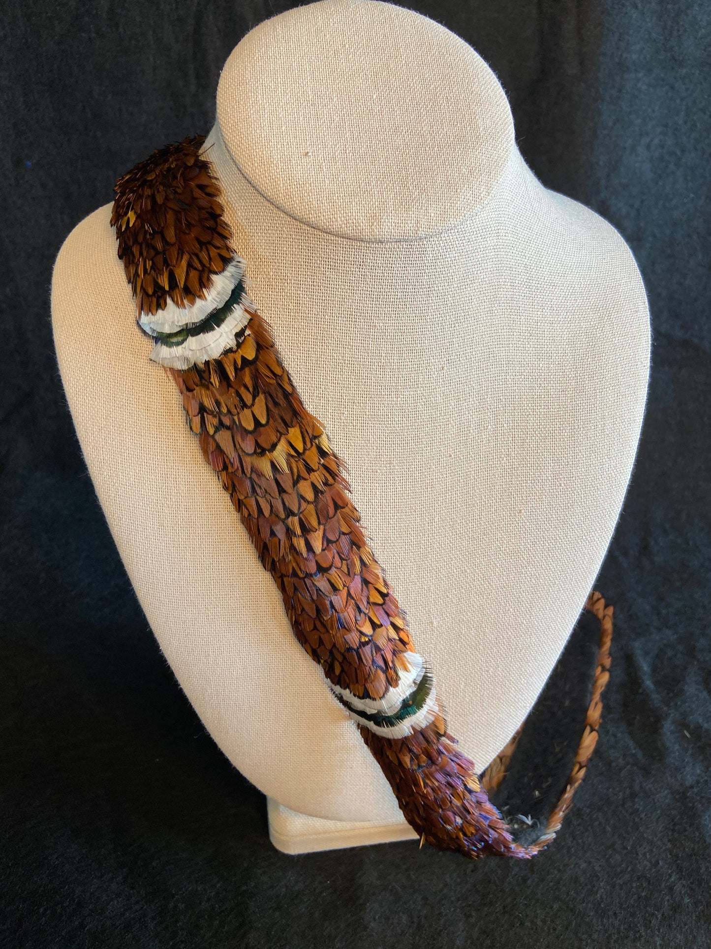 Ringneck Pheasant humu papale (feather hat band)